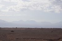 
DSC00021